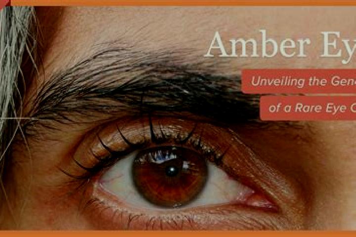 Emily, 30, a red amber-eyed indian companion based in Jedlinsk. Offering Dinner Date, Fetish, A-Level. Available for incall and outcall, overnight bookings a...
