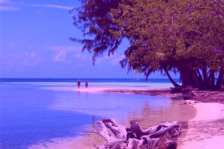 Emily, 30 — Escort in Duck Run 3, Belize