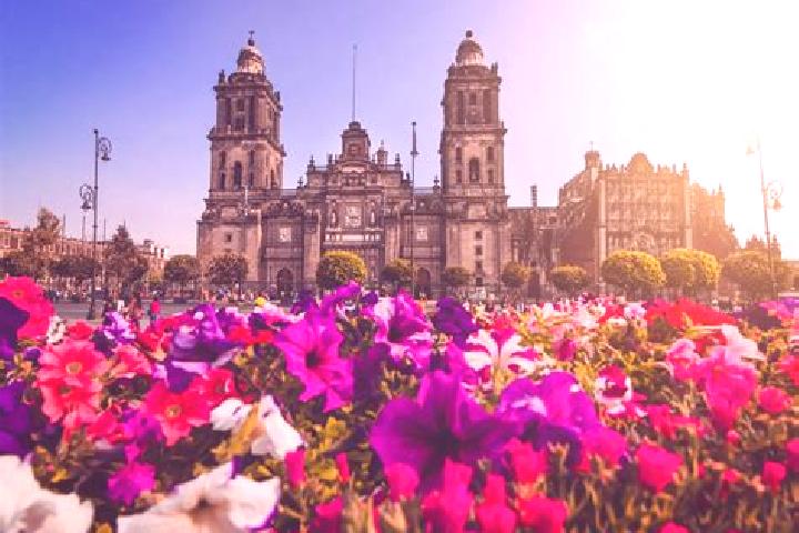 Emily, 32 — Escort in Ciudad Guerrero, Mexico