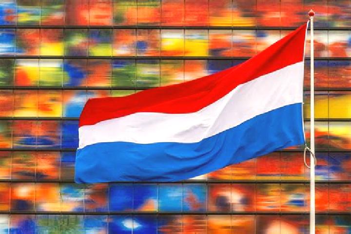 Emily, 32 — Escort in Schutsboom, Netherlands