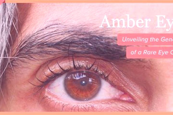 Emily, 33, a red amber-eyed middle eastern companion based in Szerzyny. Offering Couples, OWO, 69, Massage. Available for incall and outcall, day and evening...
