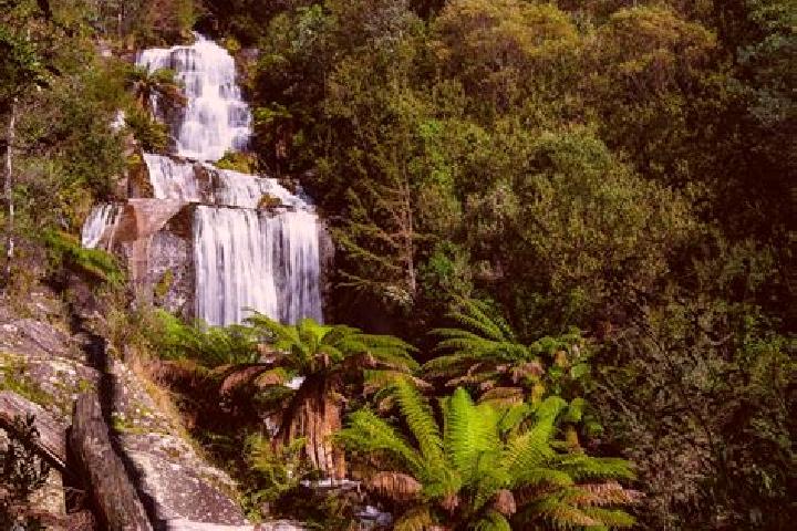 Emily, 33 — Escort in Mount Beauty, Australia