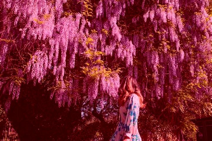 Emily, 33 — Escort in Schitu Scoicesti, Romania
