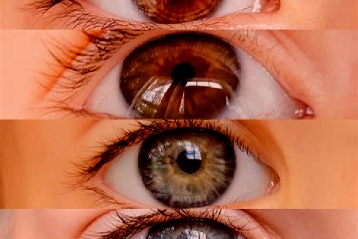 Emily, 34, a chestnut dark-eyed middle eastern companion based in Twisk. Offering Couples, Domination, Massage. Available for incall and outcall, day and eve...