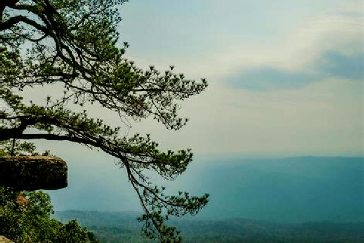 Emily, 34, a dark blonde dark-eyed asian companion based in Phu Kradueng. Offering Party Girl, Dinner Date, Massage, Girlfriend Experience. Available for inc...