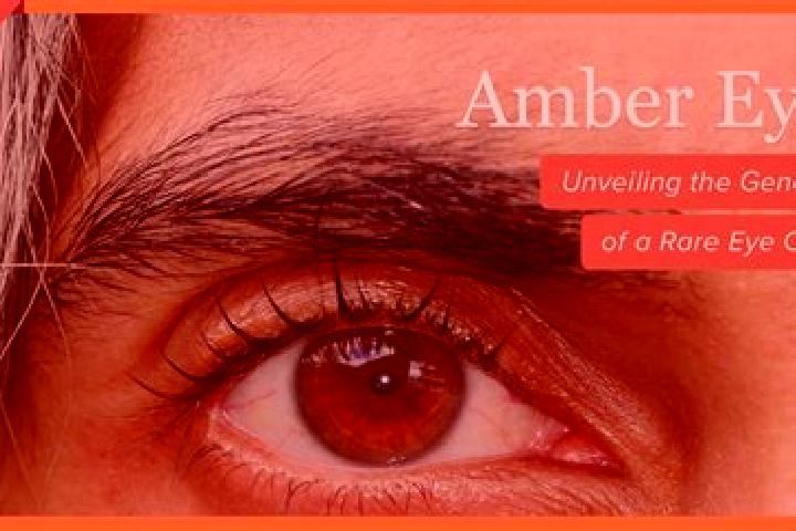 Emily, 34, a red amber-eyed indian companion based in Sparks. Offering Domination, Travel Companion, A-Level, BDSM. Available for incall and outcall, day and...