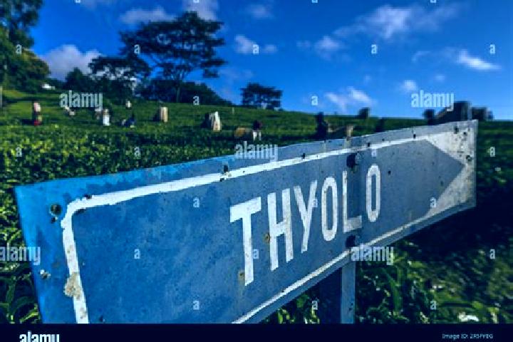 Emily, 34 — Escort in Thyolo, Malawi