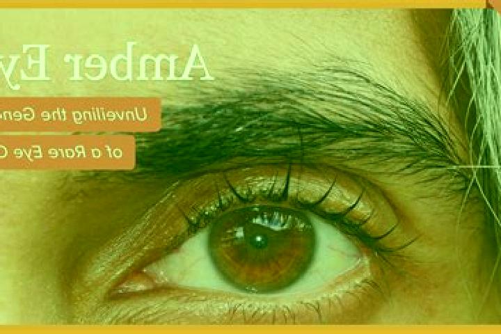 Emily, 35, a red amber-eyed caribbean companion based in Vyshovatyi. Offering Deep French Kissing, Domination, Fetish. Available for incall and outcall, over...