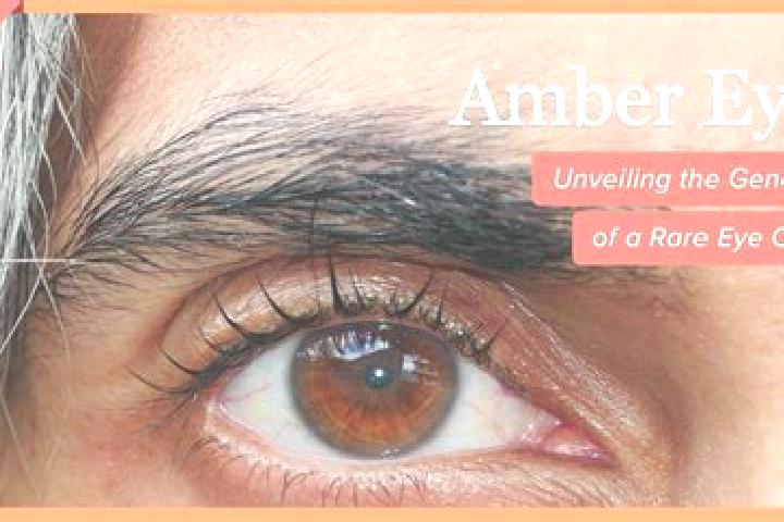 Emily, 35, a red amber-eyed caucasian companion based in Paranapanema. Offering Party Girl, Couples, Striptease, Tantra. Available for incall and outcall, da...