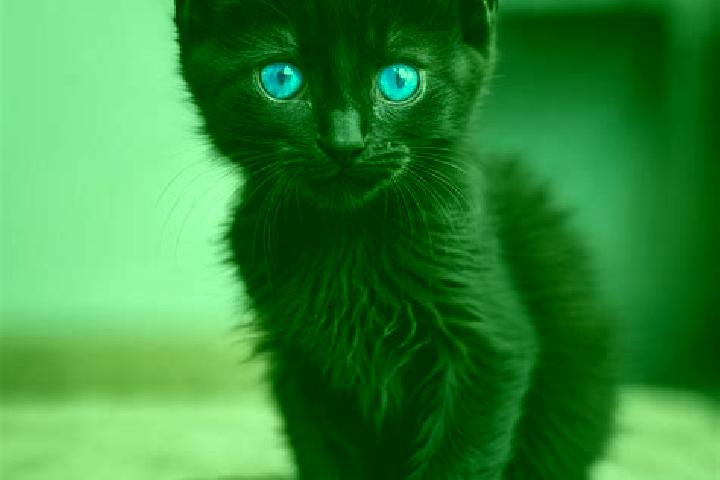 Emily, 37, a black blue-eyed slavic companion based in Biscoitos. Offering GFE, Prostate Massage, 69, OWO. Available for incall and outcall, overnight bookin...