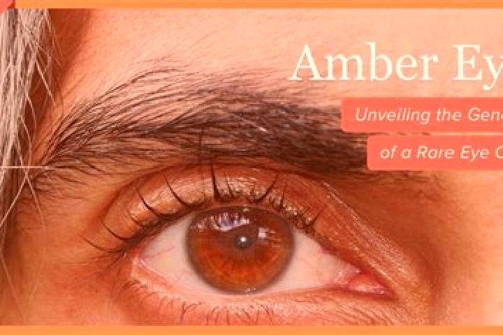 Emily, 37, a red amber-eyed mediterranean companion based in Gerlachov. Offering Tantra, Striptease, Erotic Massage, Dinner Date, Domination. Available for i...
