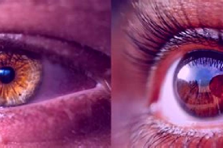 Emily, 37, a red hazel-eyed mixed companion based in Casola di Napoli. Offering Duos, BDSM, Erotic Massage, A-Level, Fetish. Available for incall and outcall...