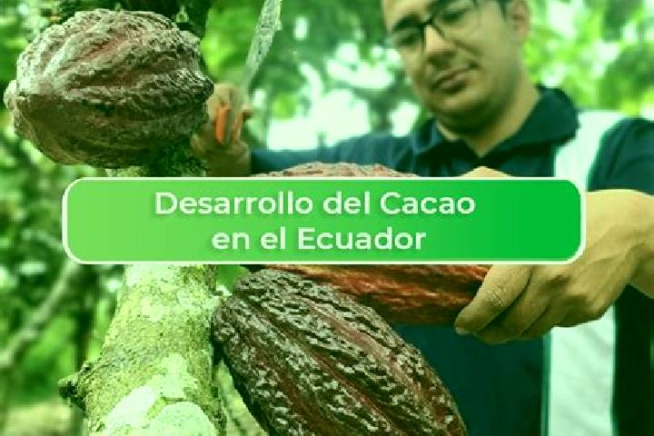 Emily, 37 — Escort in El Cacao, Panama