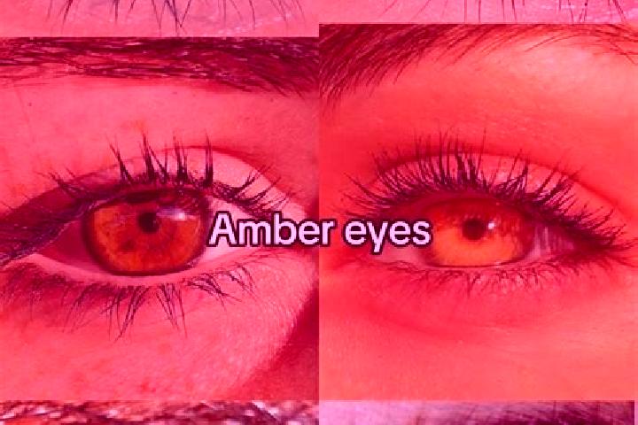 Emily, 38, a brunette amber-eyed middle eastern companion based in Brux. Offering 69, Overnight, Deep French Kissing, OWO, Domination. Available for incall a...