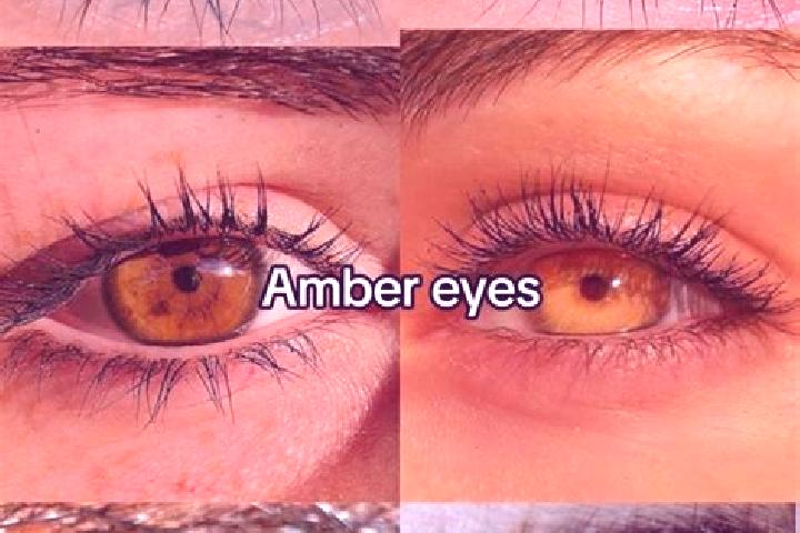 Emily, 38, a chestnut amber-eyed caucasian companion based in Tangalle. Offering Duos, Deep French Kissing, Overnight. Available for incall and outcall, over...