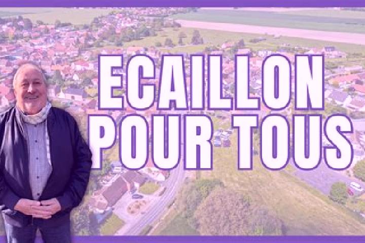 Emily, 38 — Escort in Ecaillon, France
