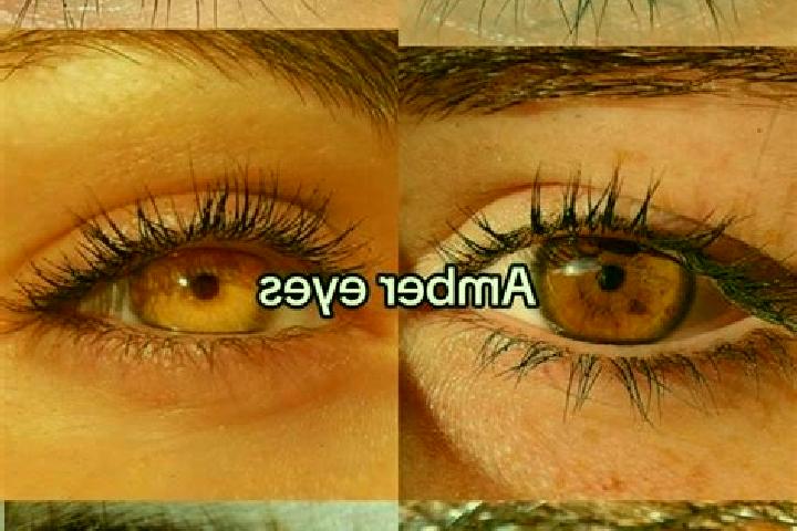 Emily, 39, a chestnut amber-eyed caucasian companion based in Rue de France. Offering Girlfriend Experience, Couples, OWO, Fetish. Available for incall and o...