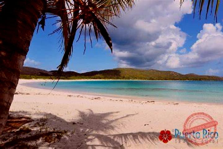 Emily, 39 — Escort in Culebra, Puerto Rico