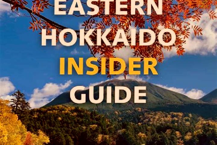 Emily, 39 — Escort in Koshimizu, Japan