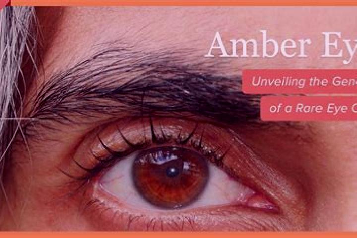 Emma, 20, a dark blonde amber-eyed indian companion based in General Martin Lopez. Offering Roleplay, Fetish, Overnight. Available for incall and outcall, ov...