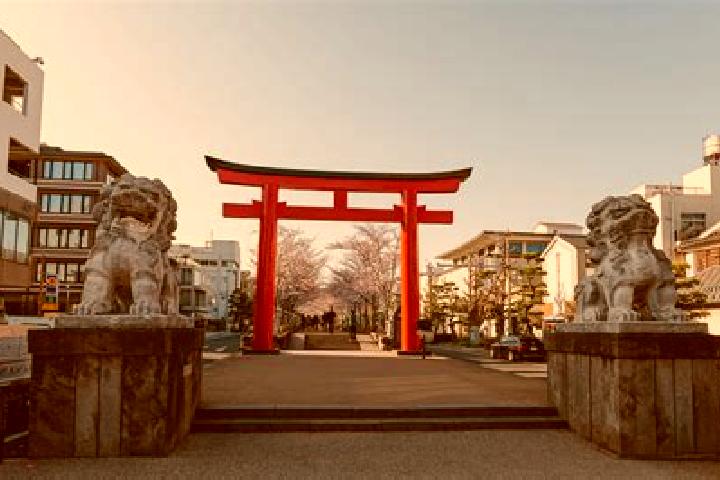 Emma, 20 — Escort in Sekicho-furumaya, Japan