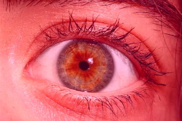 Emma, 21, a red hazel-eyed european companion based in Midlands. Offering 69, A-Level, Prostate Massage. Available for incall and outcall, day and evening da...