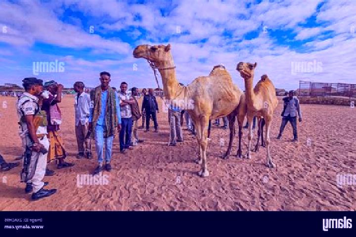 Emma, 22 — Escort in Burao, Somalia