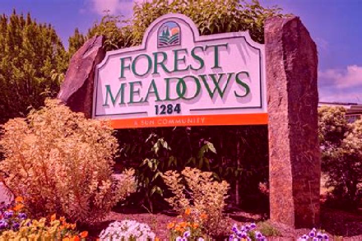 Emma, 22 — Escort in Forest Meadows, United States