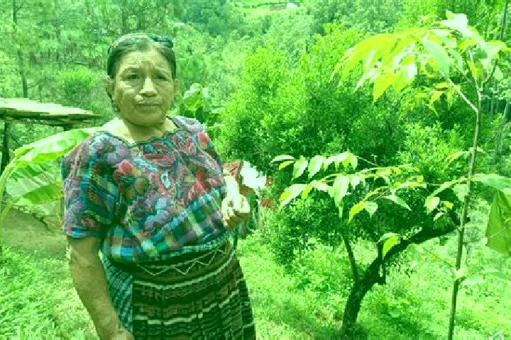 Emma, 22 — Escort in Santa Maria Chiquimula, Guatemala