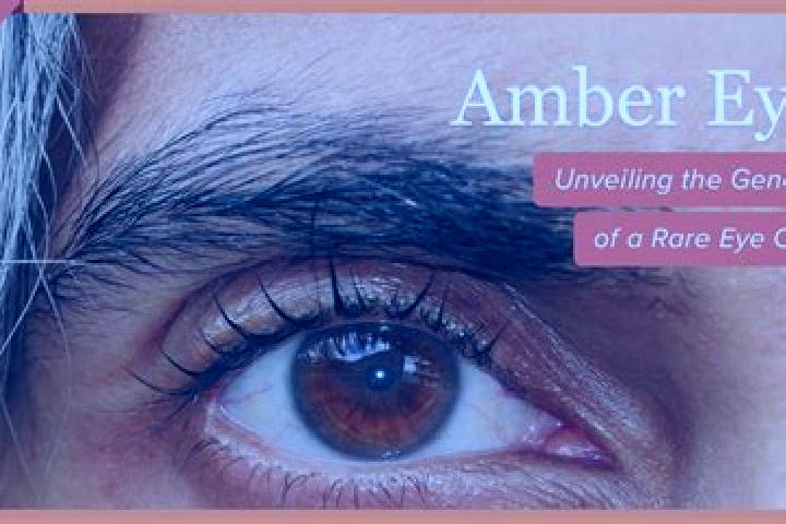 Emma, 23, a red amber-eyed slavic companion based in Skage. Offering Dinner Date, Massage, Couples, Domination. Available for incall and outcall, overnight b...