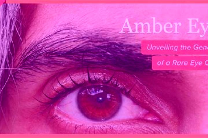 Emma, 24, a black amber-eyed caucasian companion based in Goessnitz. Offering GFE, Girlfriend Experience, Roleplay, Overnight, Striptease. Available for inca...