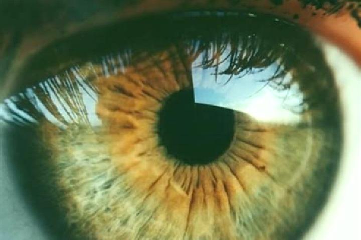Emma, 24, a red hazel-eyed caribbean companion based in Procopoaia. Offering A-Level, OWO, Roleplay. Available for incall and outcall, day and evening dates.