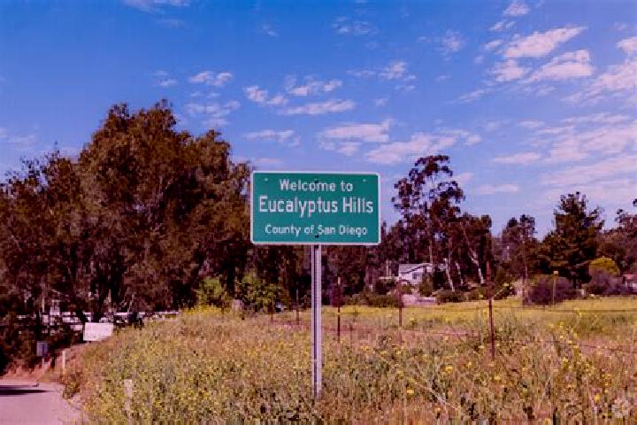 Emma, 24 — Escort in Eucalyptus Hills, United States