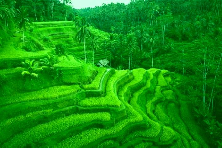 Emma, 24 — Escort in Tegalalang, Indonesia