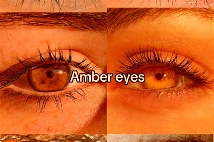 Emma, 26, a chestnut amber-eyed caribbean companion based in Doon. Offering BDSM, Girlfriend Experience, Tantra. Available for incall and outcall, day and ev...