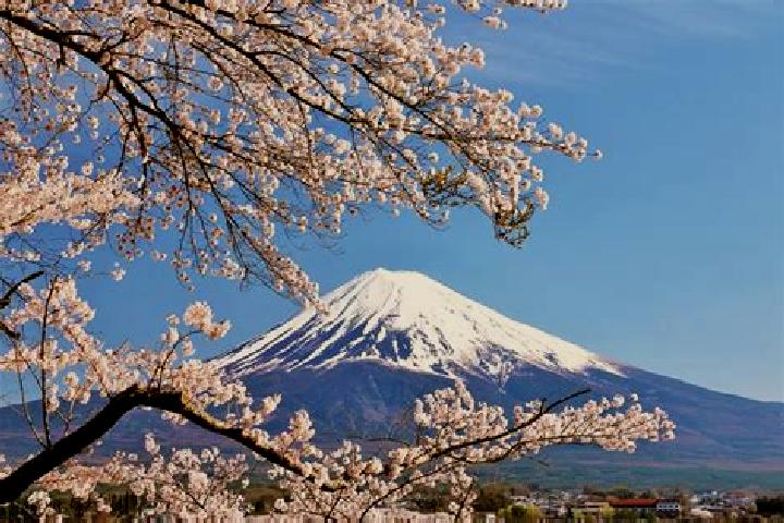 Emma, 26 — Escort in Koshi, Japan