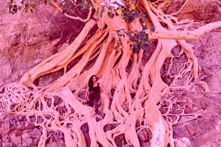 Emma, 27 — Escort in Amate Amarillo, Mexico