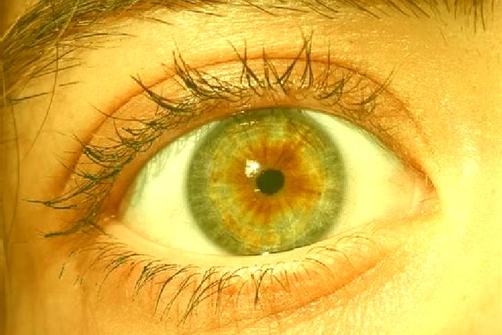 Emma, 28, a red hazel-eyed mediterranean companion based in Kouadio-Kouassikro. Offering OWO, Tantra, 69, A-Level. Available for incall and outcall, day and ...