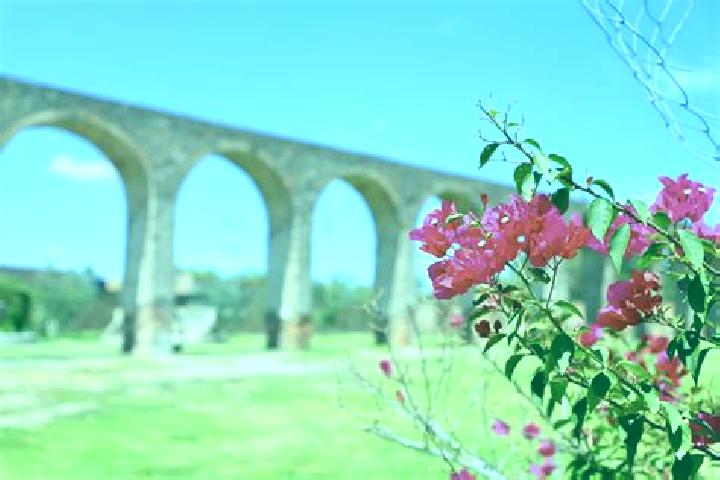Emma, 30 — Escort in El Saucillo de Primavera, Mexico