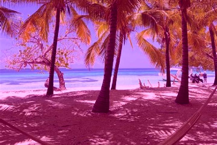 Emma, 30 — Escort in Neuland, Belize