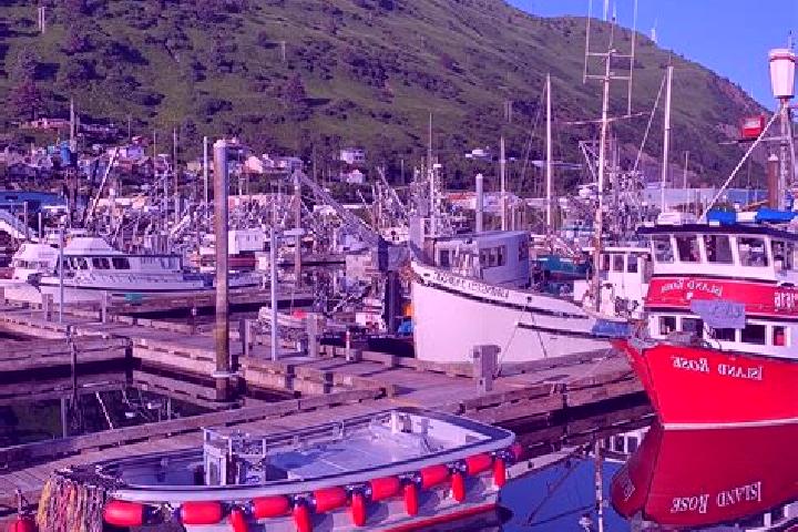 Emma, 31 — Escort in Kodiak, United States