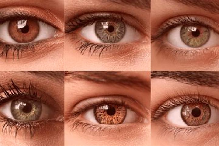 Emma, 32, a black hazel-eyed middle eastern companion based in Bariswil. Offering A-Level, Duos, Roleplay. Available for incall and outcall, day and evening ...