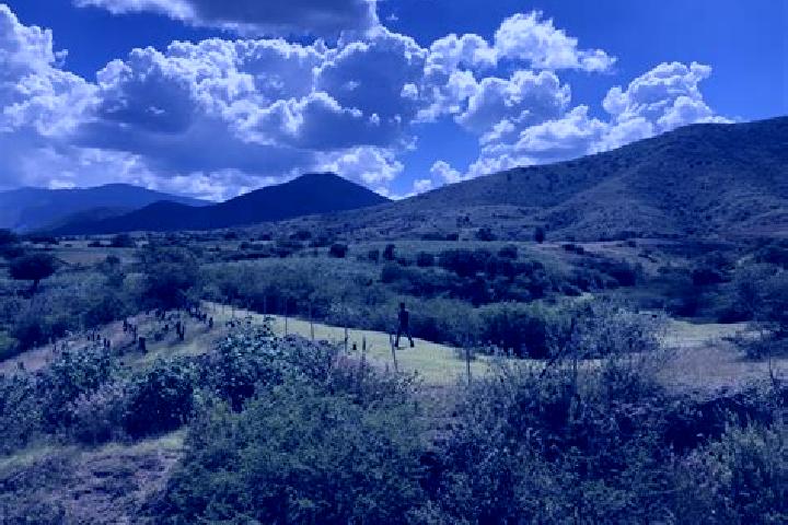 Emma, 32 — Escort in Agua del Espino, Mexico
