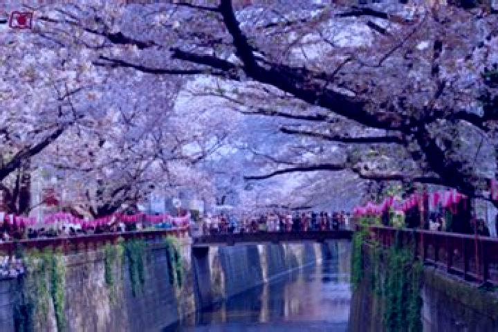 Emma, 32 — Escort in Itogawa, Japan