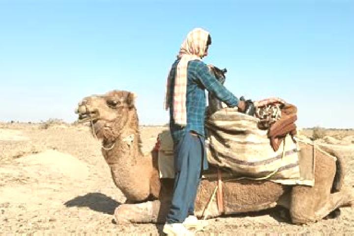 Emma, 33 — Escort in Dasht-e Qal ah, Afghanistan