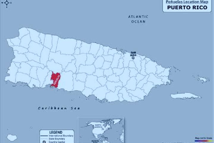 Emma, 35 — Escort in Parcelas Penuelas, Puerto Rico