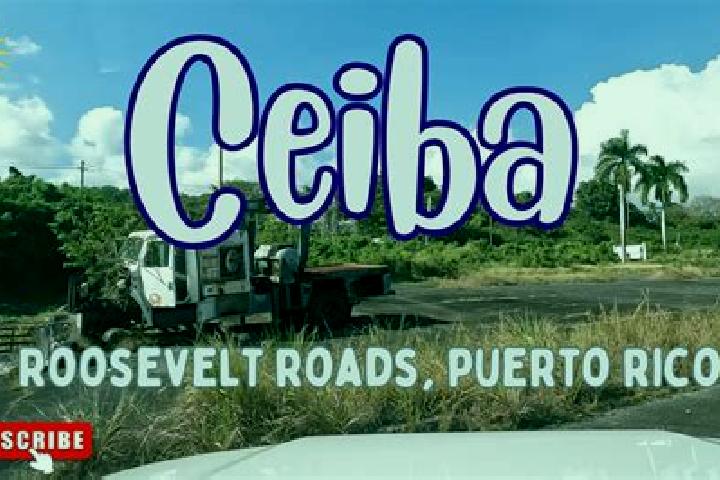 Emma, 36 — Escort in Ceiba, Puerto Rico