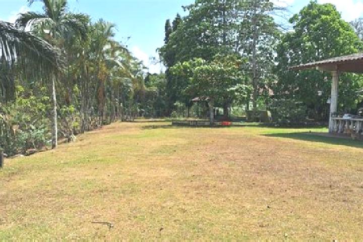 Emma, 36 — Escort in Nuevo Emperador, Panama