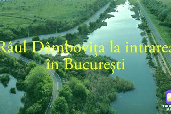Emma, 36 — Escort in Rau Alb de Sus, Romania