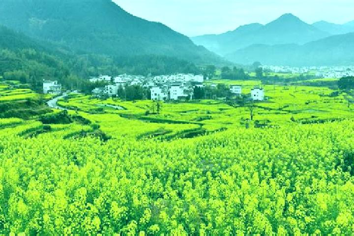 Emma, 36 — Escort in Wuyuan, China